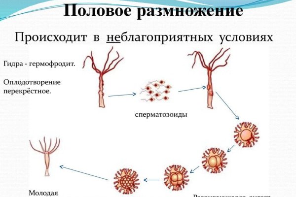 Кракен наркологический
