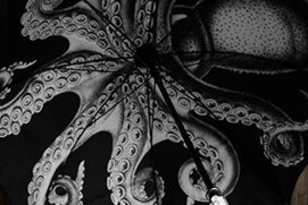 Kraken актуальное