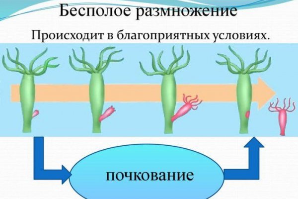 Кракен впн