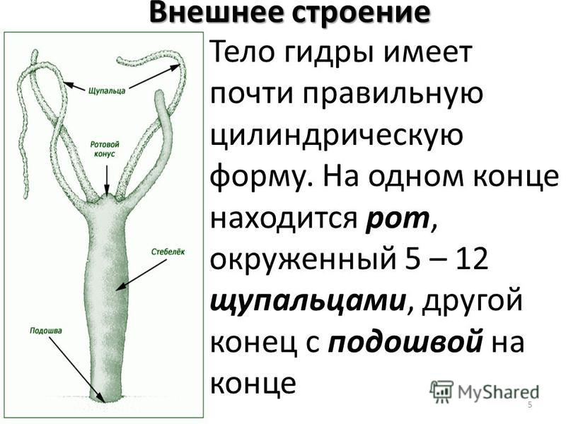 2krn сс что это такое